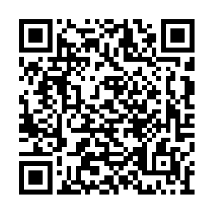 当五十二个势力存活下来的天骄得知这一结果时二维码生成