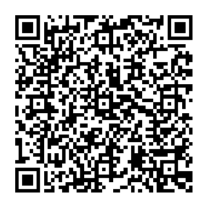 当人类处于大灾变前第一次工业革命时由人类的数学家巴贝奇发明出来的一种可以进行复杂的差分运算的机器二维码生成