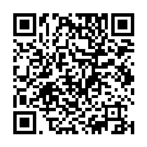 当仁不让领着韩风和羽展奎两人为两人安排看守的灵田二维码生成