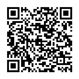 当今四大圣境的大罗境第一天才和太乙境第一天才二维码生成