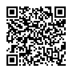 当今圣上的行为分明是在替太子殿下物色未来的朝臣人选啊二维码生成