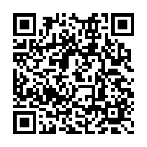 当他从张院长手中接过一叠只有十来页纸的资料二维码生成