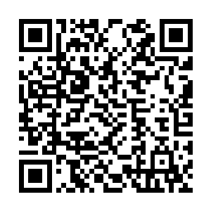 当他们看出剑尘想要在佣兵之城内和人发生打斗时二维码生成