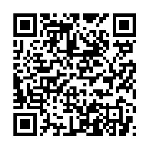 当他们看到一等天族人和一等天族炼丹师出来的时候二维码生成