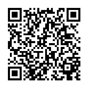 当他们看到叶枫这个不速之客走进了大楼的大厅时二维码生成