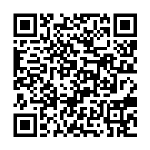 当他们看到那睥睨天下将所有人都当成狗的遥迦大人二维码生成
