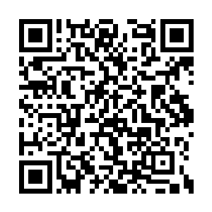 当他们看清走在前面的两个女人的容貌和气质后二维码生成