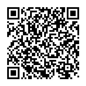 当他们睁开双眼看去之时便看到白岩谷的正中心有一个十几米的大坑二维码生成
