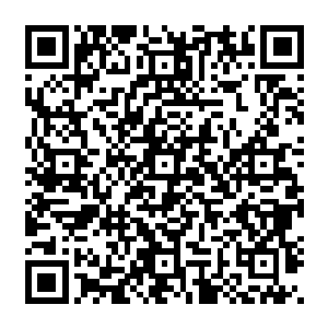 当他们知道跟在李若萍身边清清秀秀的年轻人就是当年在临河市大名鼎鼎的长枪赵阎王时二维码生成