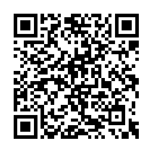 当他们确定二猫确实已经没有了心跳和脉搏之后二维码生成