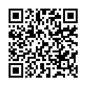 当他将双手轻轻放在幽灵猫的两边太阳穴上时二维码生成