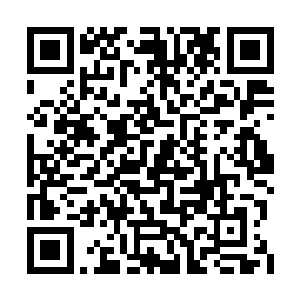 当他尝试着用意念和识海中悬浮的金丹秘录融合二维码生成