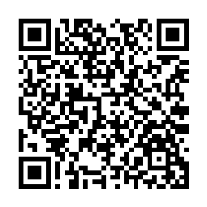 当他的头在冰冷的祠堂地板上磕得砰砰作响的时候二维码生成