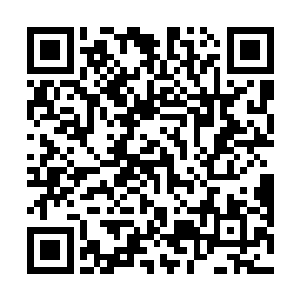 当他看到哥哥的指甲刀锋已经刺破了欧阳志远的衣服时二维码生成