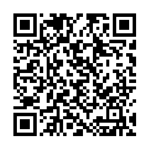 当他看到肖旺财扇子上提着一首诗的时候不禁扑哧乐了二维码生成