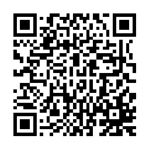 当他看到那边缘地带的恐怖灰雾和内里纵横交错的可怕沟壑后二维码生成