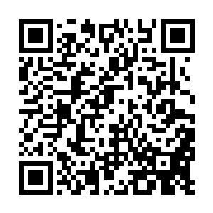 当他看清楚许紫烟的修为只有炼气期第二层的时候二维码生成