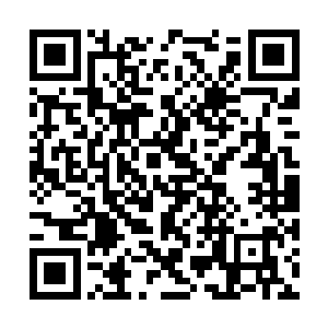 当他知道古斯娜要用大姨妈的血来整蛊自己的时候二维码生成