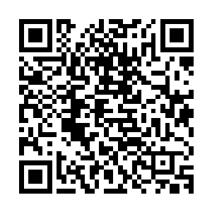 当他第一眼看到这段视频的时候就知道了杨洛为什么要杀周仁安二维码生成