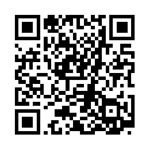 当他跃起的高度和肉球飞翔的高度一致时二维码生成