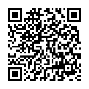 当众人的视线顺着消防员的手指看到墙角那只被烧焦的猫尸时二维码生成