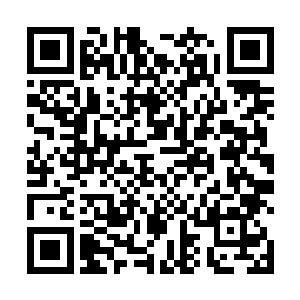 当你看到我收下司马道友和刁道友的时候就该明白我的二维码生成