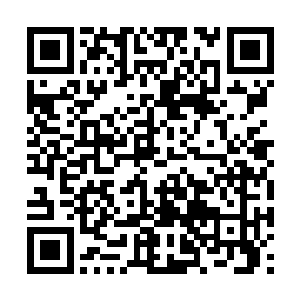 当你能够不展露任何元力就能把最远那颗石头照亮二维码生成