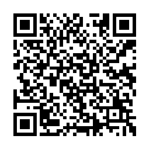 当先一名身穿红袍金甲的长须天将一横手中长槊二维码生成