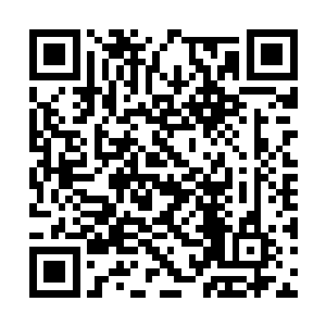 当八十一大连环风水局吞噬了这个狂妄小子的时候二维码生成