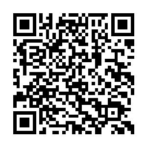 当冷天佑真的跟着他们两个人出发过后才后悔了二维码生成