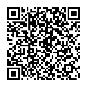 当凌煦无奈又焦急的劝慰声与洛天星虚弱却坚定的遗言飘荡在这潮湿的空气里时二维码生成