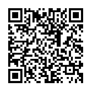 当初……当初……明明那些记忆都被她好好封存在了心底深处二维码生成