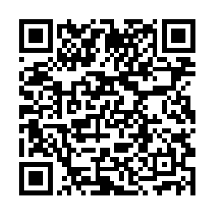 当初他仅仅只是吸食了那十二品莲台四分之一的力量二维码生成