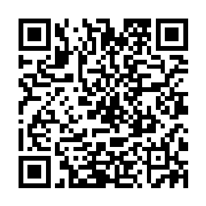 当初他们二人被降落伞带到了距离崖底几十里的地方二维码生成