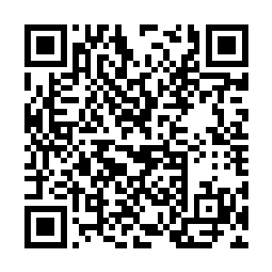 当初他们无极宗就那么几个高阶修士进入玄黄大陆二维码生成