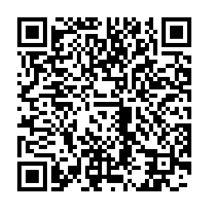 当初他就是一直觉得张秀兰是看上刘城家里有钱有势才会选择刘城二维码生成