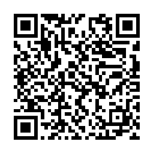 当初军部做出调离你离开龙息的决定也是有原因的二维码生成