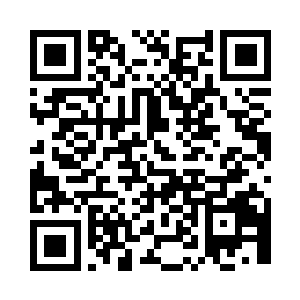 当初凤凰身边带着的那只小狐狸也叫灵宝二维码生成