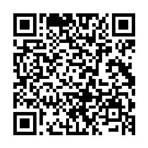 当初出兵之前在楚京里墨景祈企图从王妃手中夺得兵权的时候二维码生成