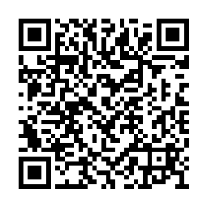 当初出手的正是天幕城罗家的一个长老为首的人二维码生成