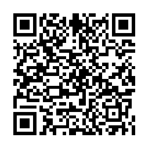 当初分得的那部分巨龙的血多数都炼制血灵丹了二维码生成