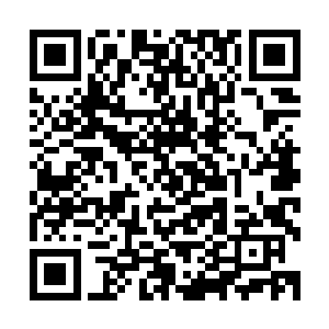 当初刚见面的时候我还以为是自己认错了只是面容相似的人呢二维码生成