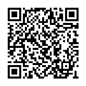 当初四大宗派和猎海联盟跟吴岩签订那份协约时二维码生成