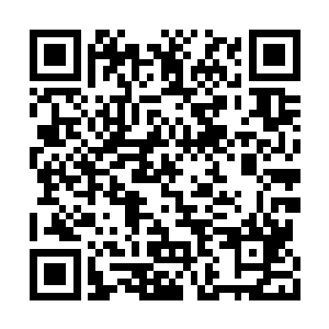 当初在大马排除了自家儿子掳走小天星的事实后二维码生成