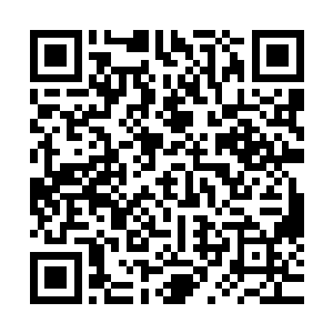 当初在得到百族大陆出现超越圣级九层后期巅峰的混沌兽之时二维码生成
