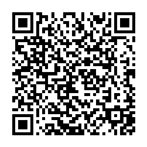 当初就应该趁着阴鬼老祖还未成长起来就发布全国通缉令将其灭杀二维码生成