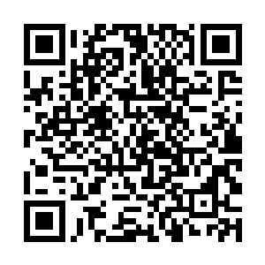 当初就是她把这些所谓的易有安同志的房产交给我的二维码生成