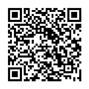 当初张小凡蛮不讲理的扇了他一耳光的事情还历历在目二维码生成