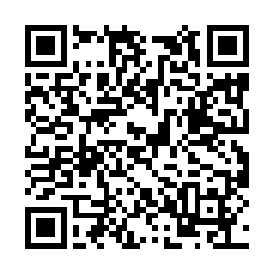 当初惟格在纽约时装周怎么就没有发展出新约会呢二维码生成