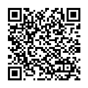 当初我们是看在龙彥庭你父亲的面子上才让你当掌舵人二维码生成